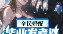 全民婚配:毕业发老婆,玩坏龙娘