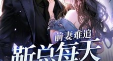 前妻难追,靳总每天都在后悔2024新版