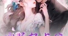 谢总轻点宠,恶毒女配真没撩你2024新版