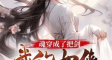 魂穿成了把剑,我的女侠在哪里!笔趣阁版