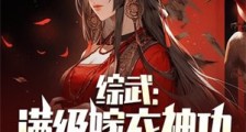 综武:满级嫁衣神功,举世无敌!笔趣阁版