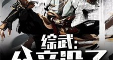综武:父亲没了,奖励满级神功笔趣阁版