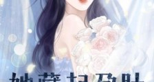 她藏起孕肚,偏执霍少找疯2024新版