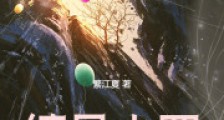 编号十四