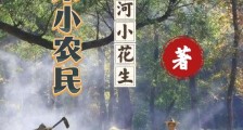 大宋小农民2024新版
