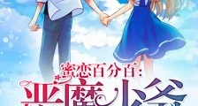 都市夜战魔法少男2024版