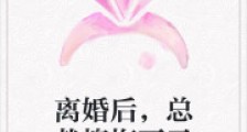 离婚后,总裁懊悔不已2024新版