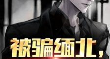 被骗缅北,真实遭遇2024版