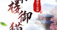 红楼御猫2024新版