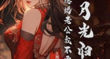 白月光归来,这隐婚老公我不要了2024新版