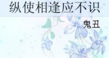 纵使相逢应不识笔趣阁版