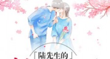 陆先生的情之所至笔趣阁版