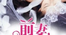 前妻,再爱我一次笔趣阁版