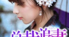 总裁追妻很上心笔趣阁版
