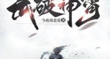 武破神霄笔趣阁版