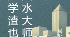 既是学渣也是风水大师笔趣阁版