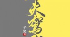 匹夫驾到笔趣阁版