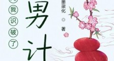开局我识破了美男计笔趣阁版
