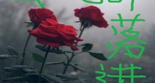 蛮荒部落进化史笔趣阁版