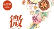 微忱笔趣阁版