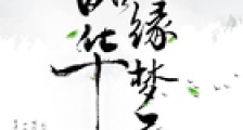 韶华缘梦录笔趣阁版