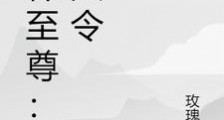 武林至尊:圣火令笔趣阁版