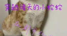 穿越诸天的小蛇蛇在都市化龙笔趣阁版