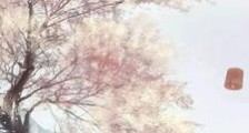 全真浪人传笔趣阁版