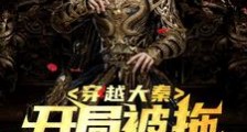 穿越大秦:开局被拖出去砍头笔趣阁版