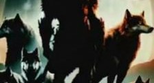 天星逍遥行笔趣阁版