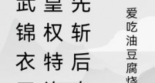 综武锦衣卫:皇权特许,先斩后奏笔趣阁版