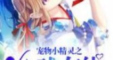宠物小精灵之全球在线新版