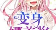 变身娜美酱新版