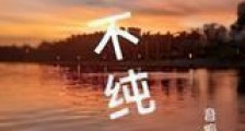 不纯新版