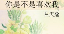 你是不是喜欢我新版