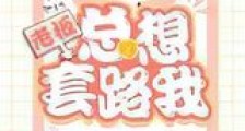 老板总想套路我新版