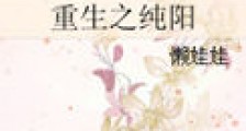 重生之纯阳新版