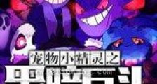 宠物小精灵之黑暗巨头新版