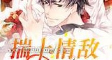 揣上情敌的崽子后新版
