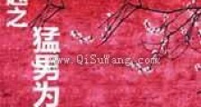 穿越之猛男为妻新版
