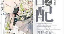 喂!这是我的龙新版