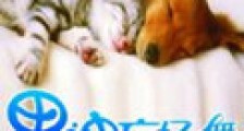 男神广场舞新版