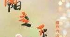 暖阳之下新版