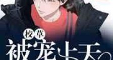 被校草宠上天的日子新版