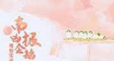 南极凶企鹅观察实录新版