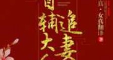首辅大人,你老婆跑啦新版