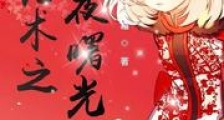 咒术之黎夜曙光新版