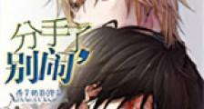 分手了,别闹新版