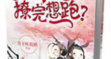 殿下,撩完想跑?新版