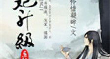 男妃升级系统新版
